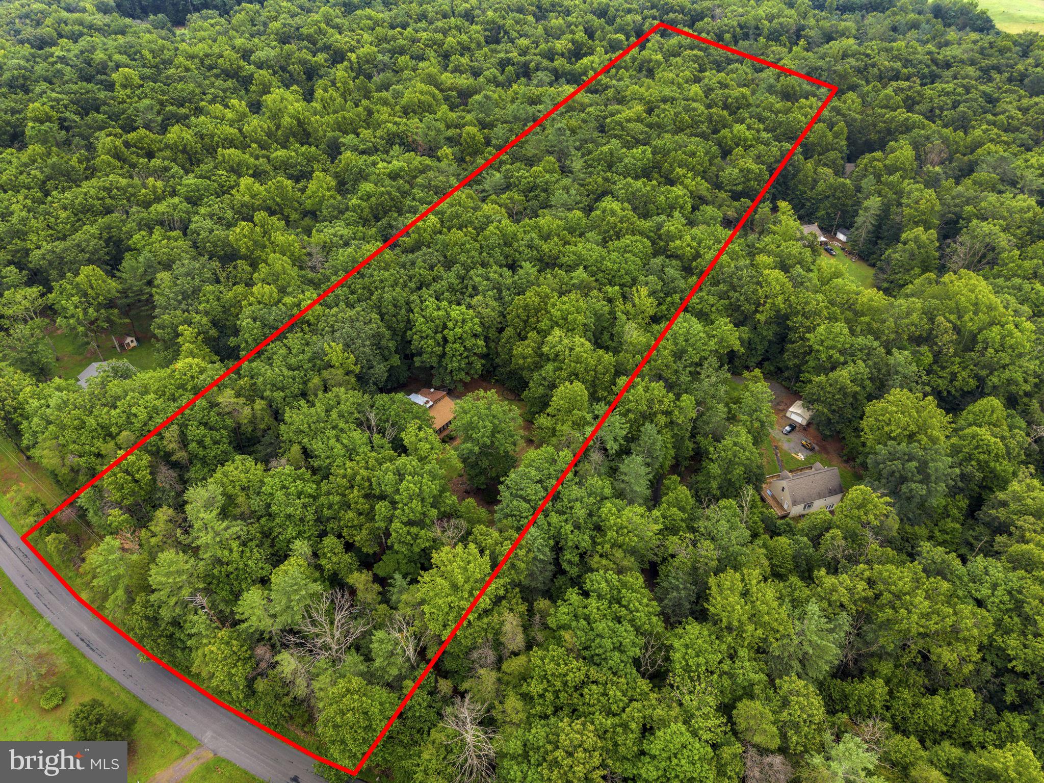 554 Arrington Mountain Road Haywood, VA 22722 - Photo 3 of 80