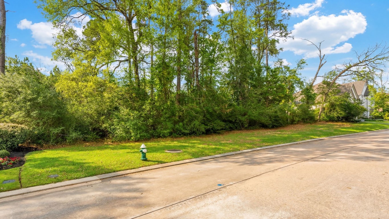 7 Primm Valley Court Spring, TX 77389 - Photo 9 of 30