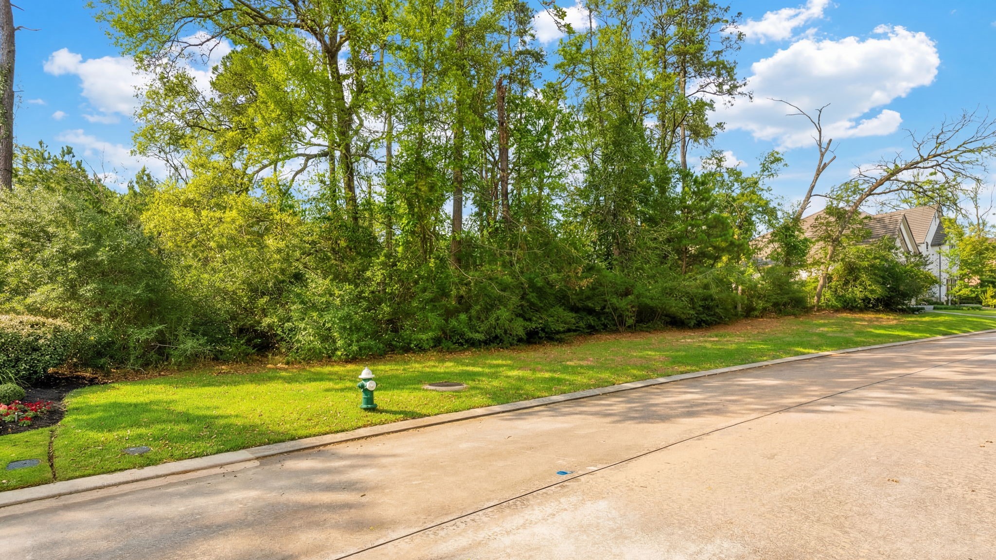 7 Primm Valley Court Spring, TX 77389 - Photo 9 of 30