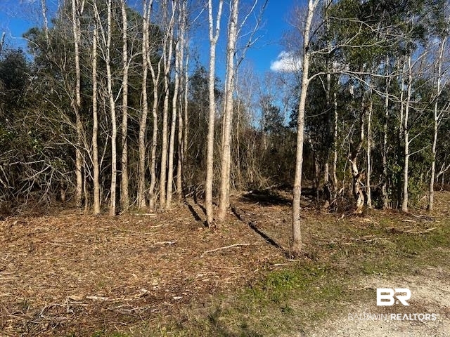 0 Bellingrath Road Theodore, AL 36582 - Photo 2 of 5