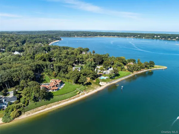 a aerial view of a house with a yard and potted plants