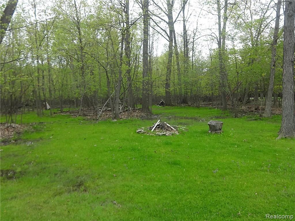 8680 Ferry Road Grosse Ile, MI 48138 - Photo 10 of 28 Woods behind garage