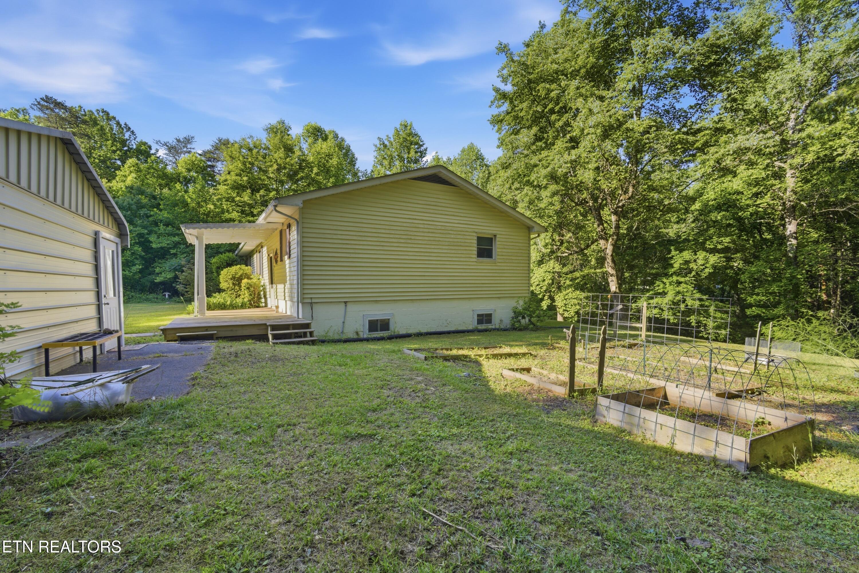 140 Walnut Street Deer Lodge, TN 37726 - Photo 6 of 37 476W9711