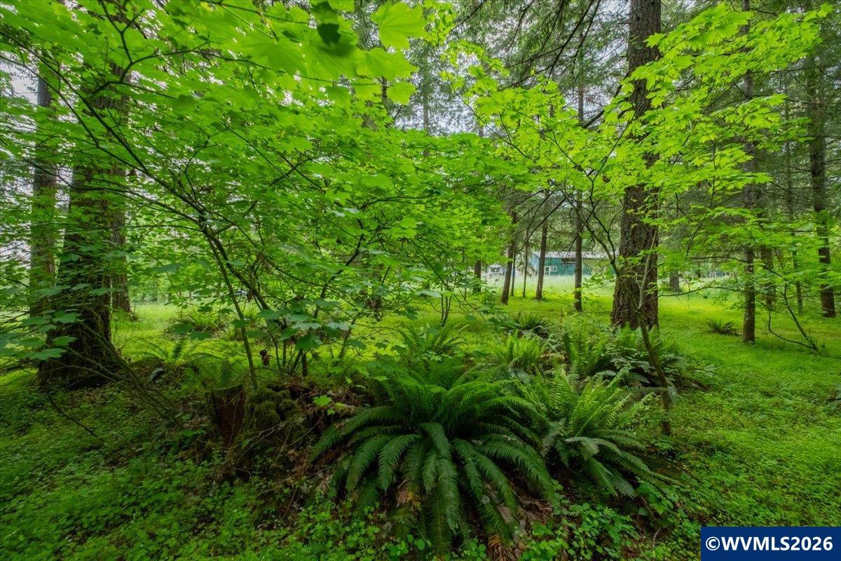0057485 Next To 40587 Baptist Church Road Lebanon, OR 97355 - Photo 5 of 38