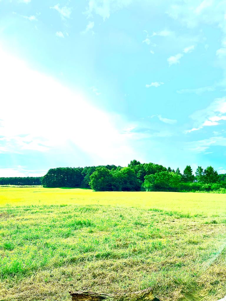 1601 Center Church Road Headland, AL 36345 - Photo 58 of 66 Gallery Image 58