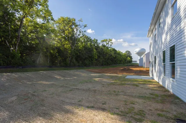 a view of backyard with green space