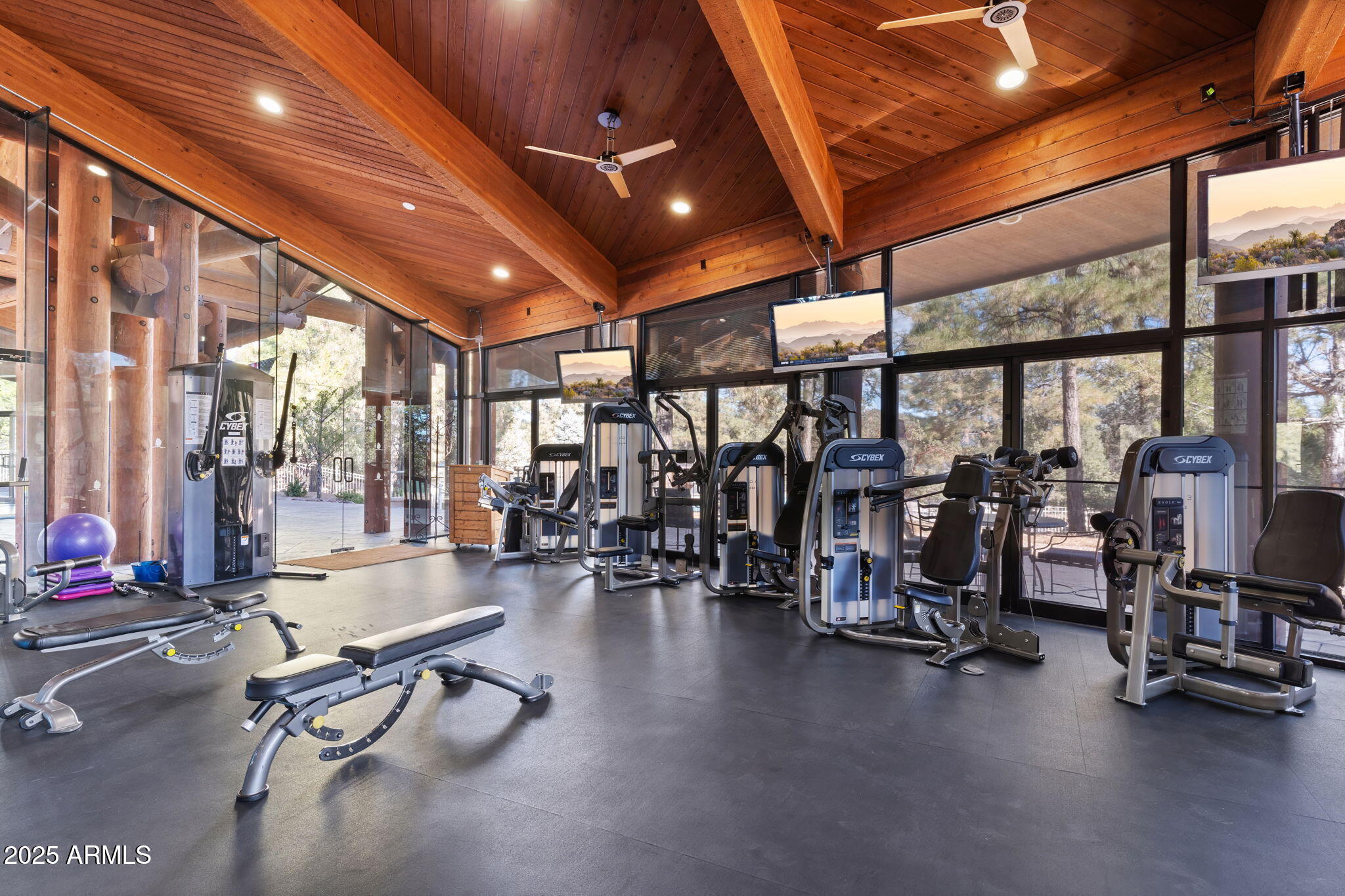 805 North Grapevine Circle Payson, AZ 85541 - Photo 29 of 42 20250115173636297285000000-o