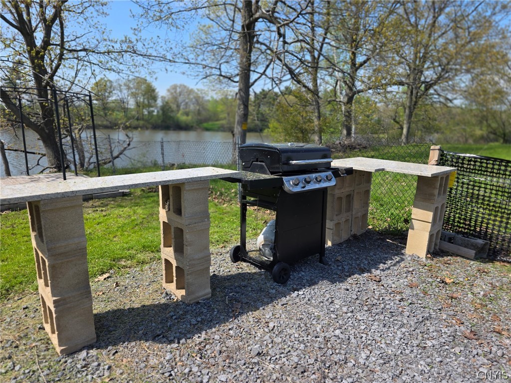 25835 Moffatt Road Lyme, NY 13634 - Photo 8 of 35