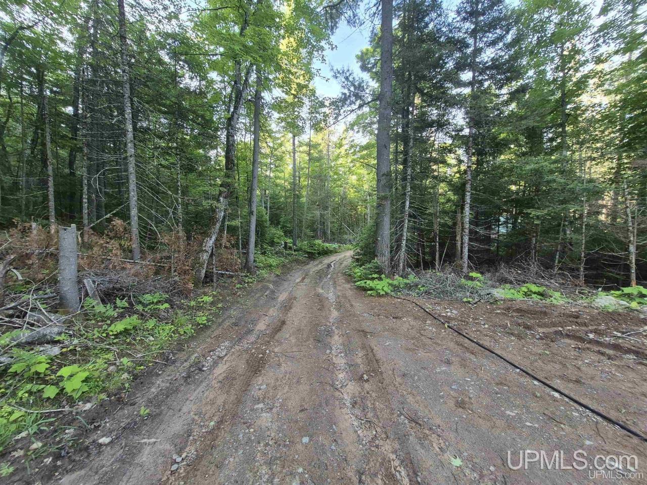 46 County Aat Road Ishpeming, MI 49849 - Photo 41 of 44