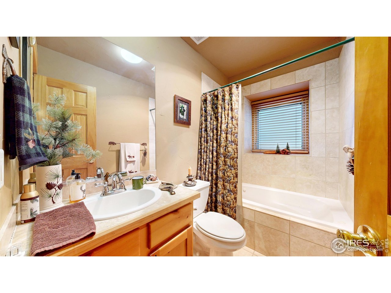 1280 Fall River Road, Unit 1 Estes Park, CO 80517 - Photo 12 of 29 Downstairs bathroom