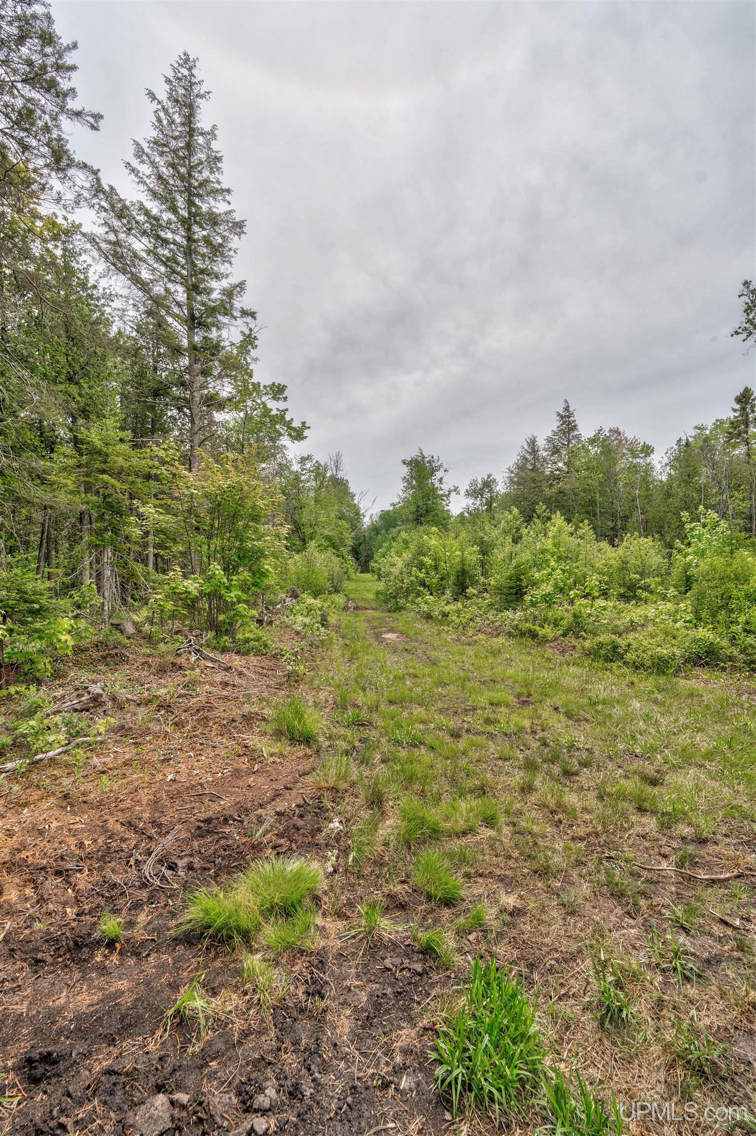27714 Kline Road McMillan, MI 49853 - Photo 15 of 17