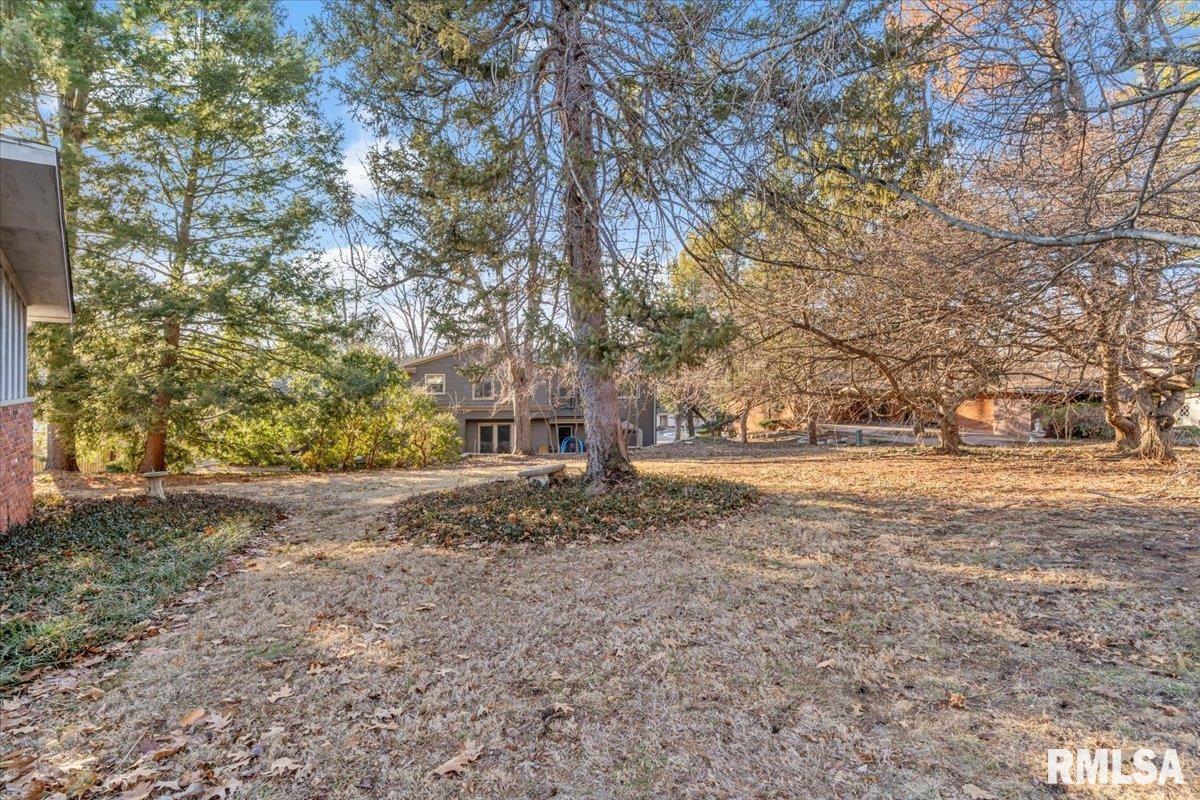 9 Pine Tree Drive Springfield, IL 62704 - Photo 3 of 48