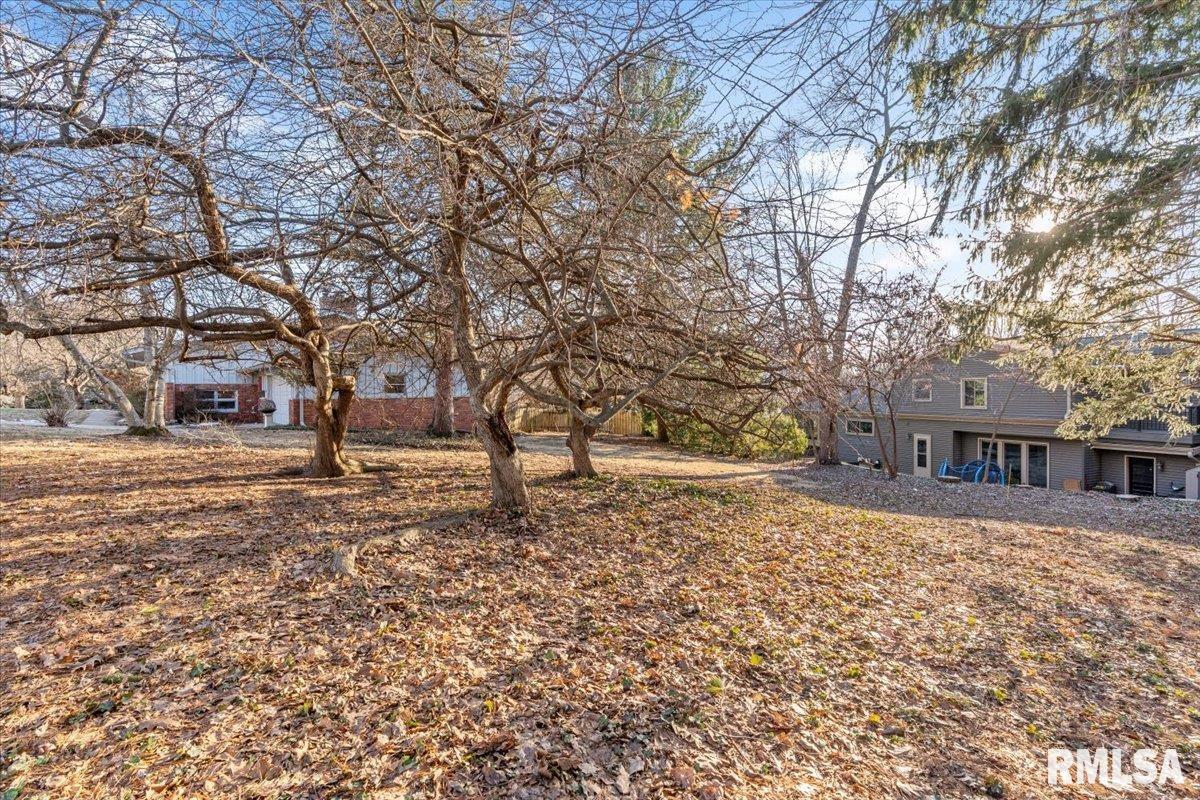 9 Pine Tree Drive Springfield, IL 62704 - Photo 40 of 48