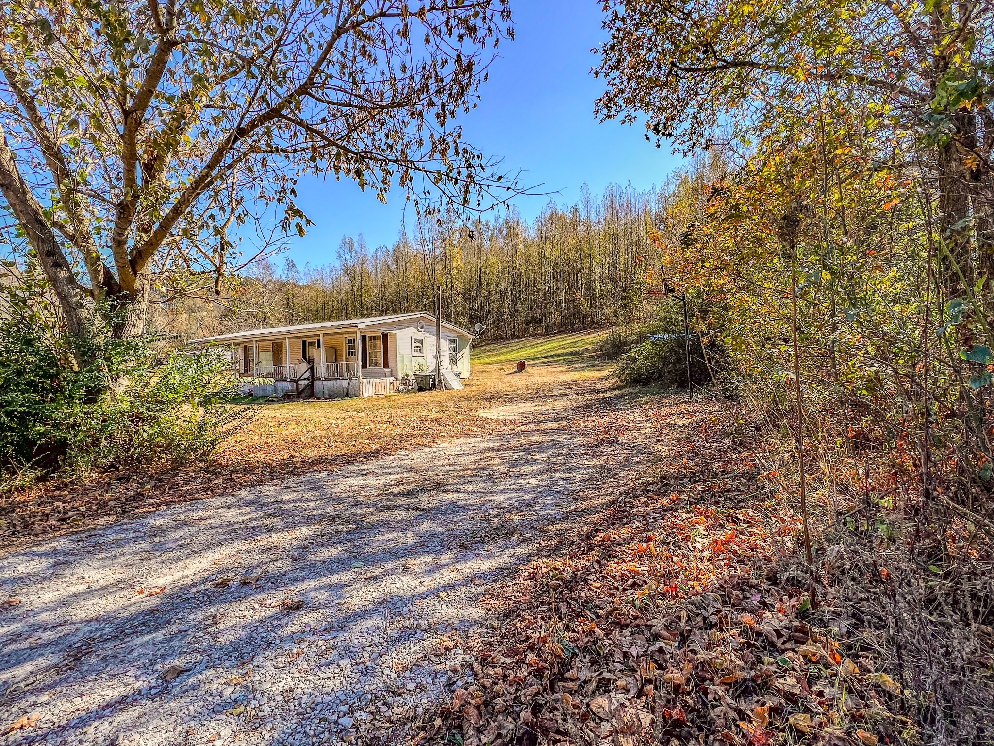 4606 Pigeon Roost Road Pulaski, TN 38478 - Photo 3 of 31 Gallery Image 3