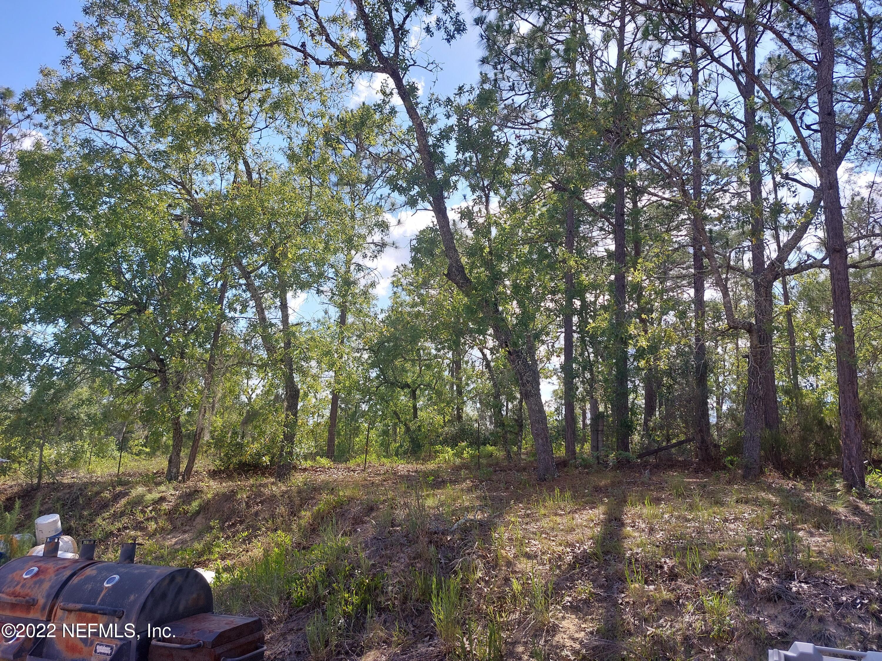 7272 Davidson Street Keystone Heights, FL 32656 - Photo 11 of 16 a view of outdoor space and yard