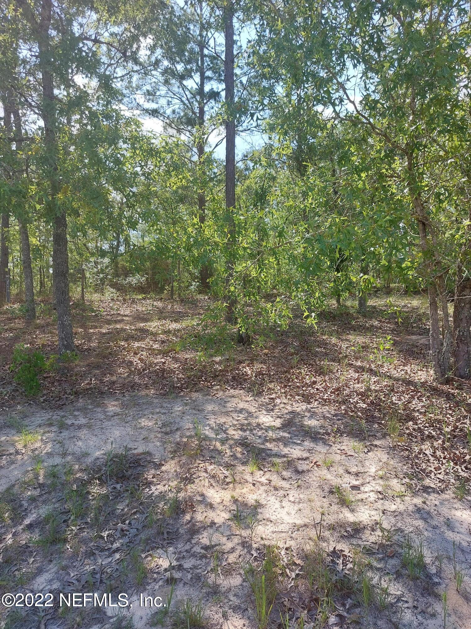 7272 Davidson Street Keystone Heights, FL 32656 - Photo 10 of 16 a view of a yard with a tree