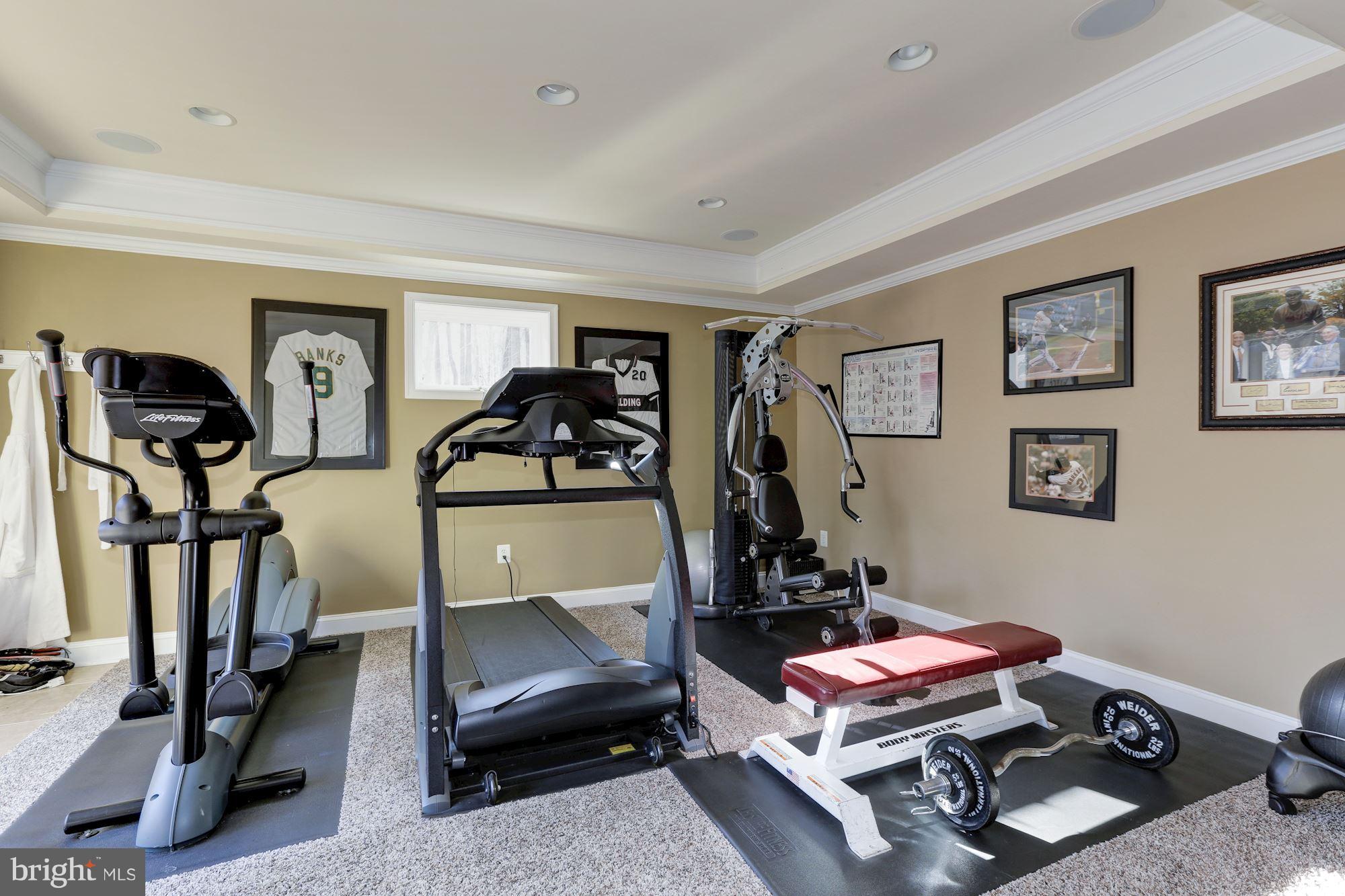 1705 Sinclair Road Gambrills, MD 21054 - Photo 62 of 82 Exercise area
