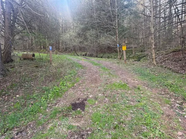 $70,000 | Bramley Mountain Road, Bloomville, NY 13739