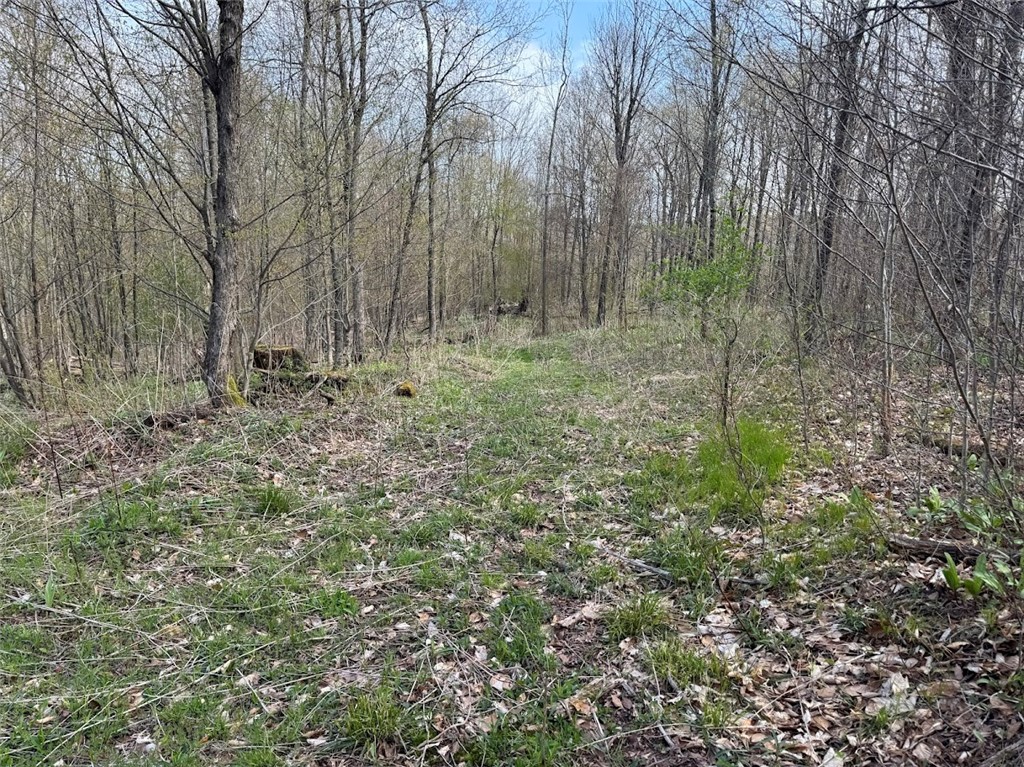 Bramley Mountain Road Bloomville, NY 13739 - Photo 12 of 19
