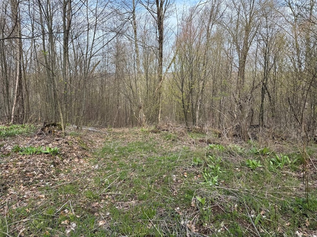Bramley Mountain Road Bloomville, NY 13739 - Photo 13 of 19