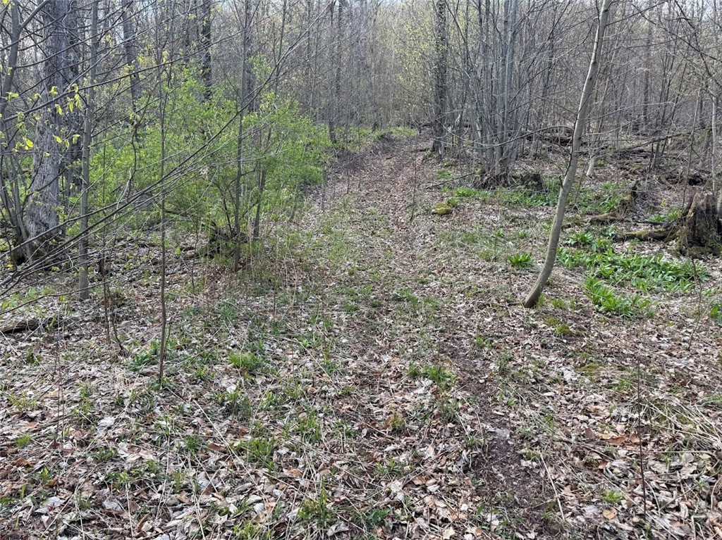 Bramley Mountain Road Bloomville, NY 13739 - Photo 14 of 19