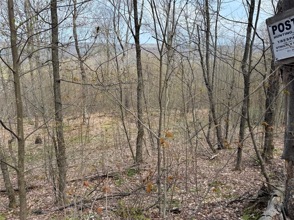 Bramley Mountain Road Bloomville, NY 13739 - Photo 19 of 19 Top of ROW - Property Line.