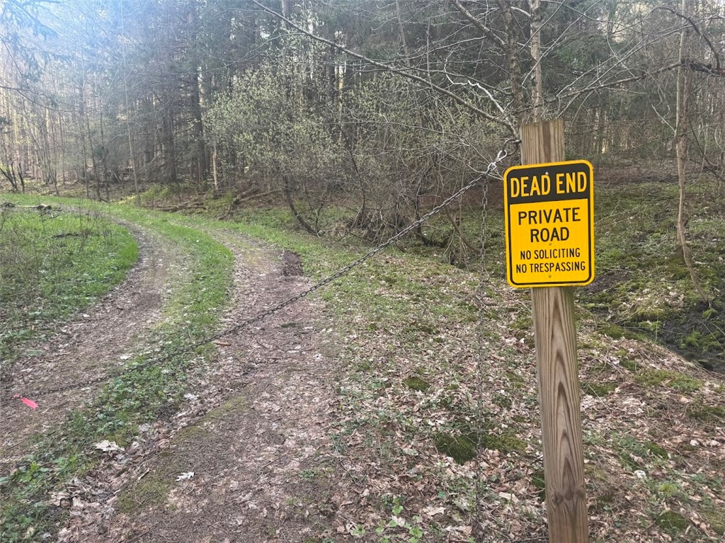 Bramley Mountain Road Bloomville, NY 13739 - Photo 2 of 19