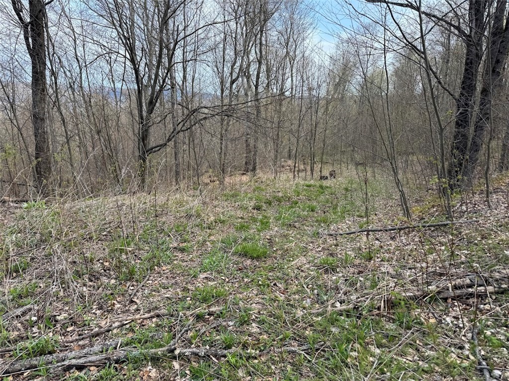 Bramley Mountain Road Bloomville, NY 13739 - Photo 4 of 19