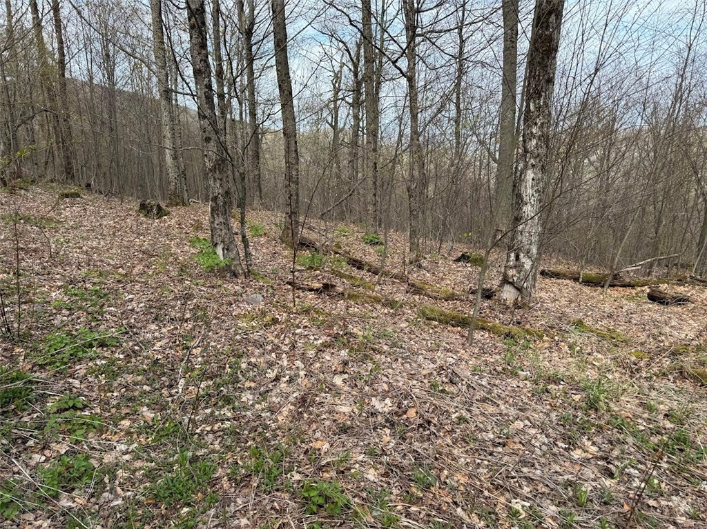 Bramley Mountain Road Bloomville, NY 13739 - Photo 5 of 19