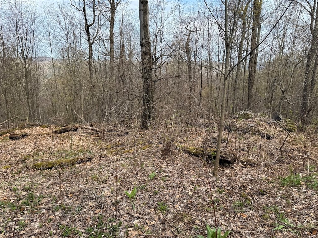 Bramley Mountain Road Bloomville, NY 13739 - Photo 6 of 19