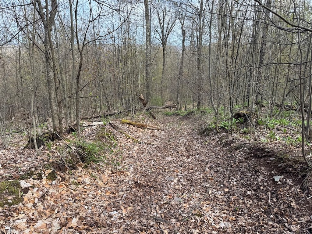 Bramley Mountain Road Bloomville, NY 13739 - Photo 7 of 19