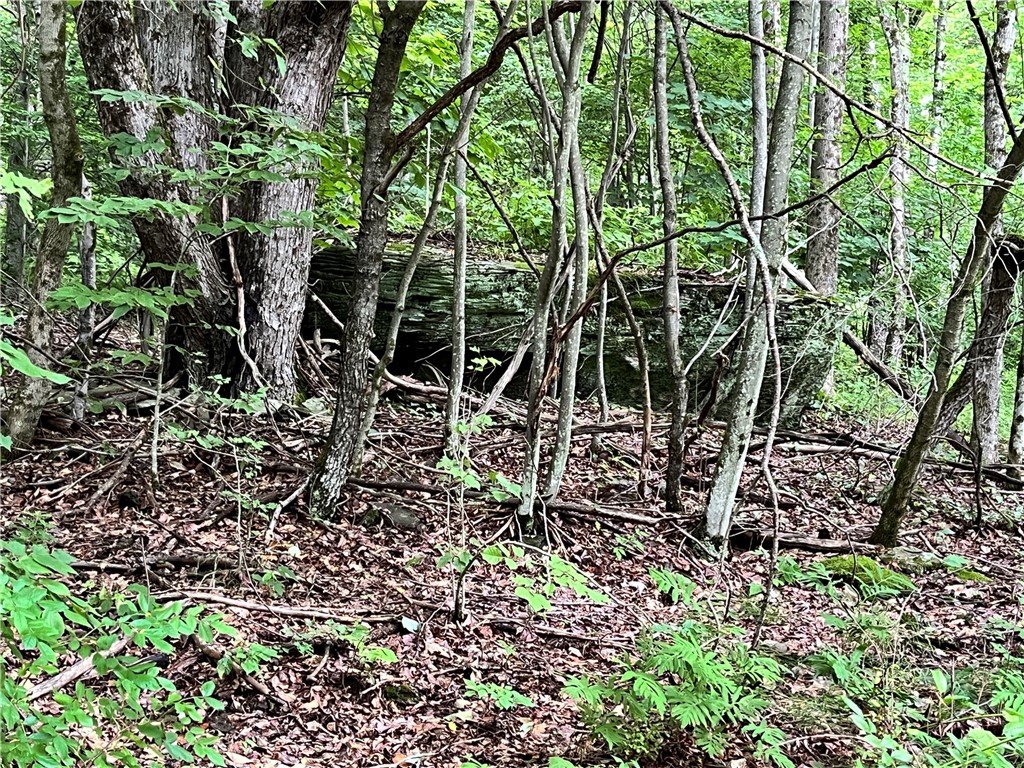 0 Marvin Hollow Road Walton, NY 13856 - Photo 7 of 22