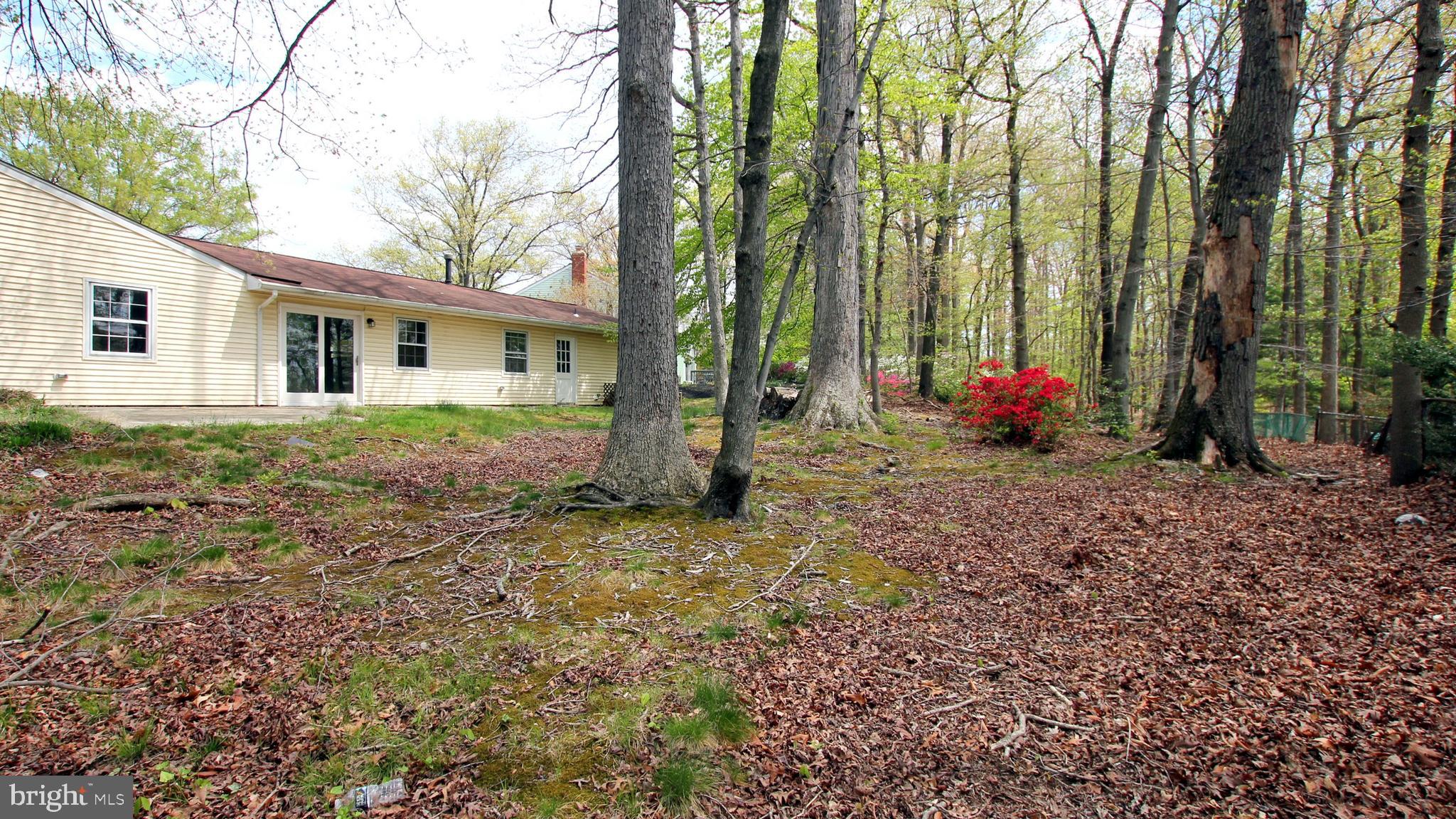 8803 Royal Ridge Lane Laurel, MD 20708 - Photo 31 of 48 Gallery Image 31