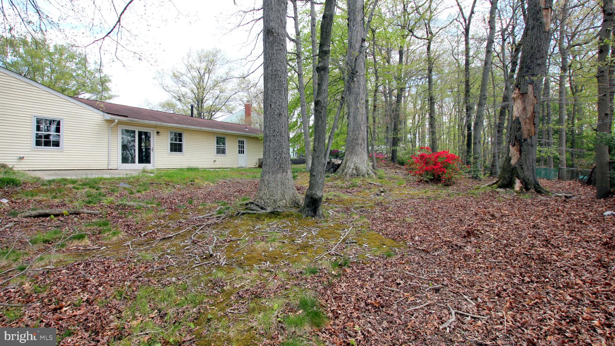 8803 Royal Ridge Lane Laurel, MD 20708 - Photo 33 of 48 Gallery Image 33