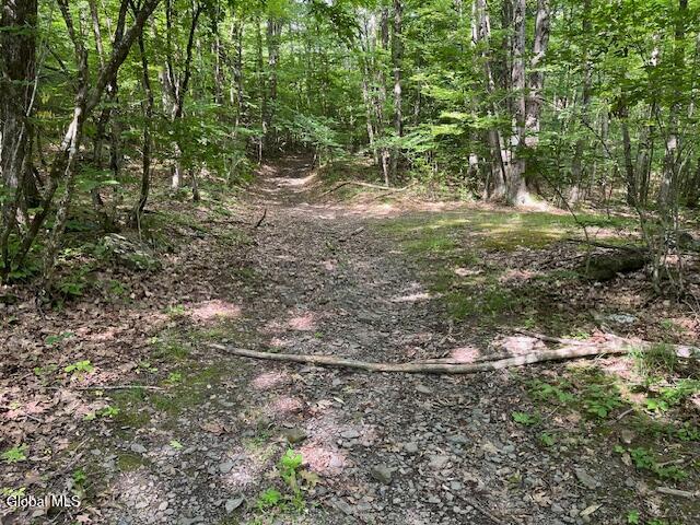 L34 Fred Jensen Road Middleburgh, NY 12122 - Photo 2 of 20 IMG_5688
