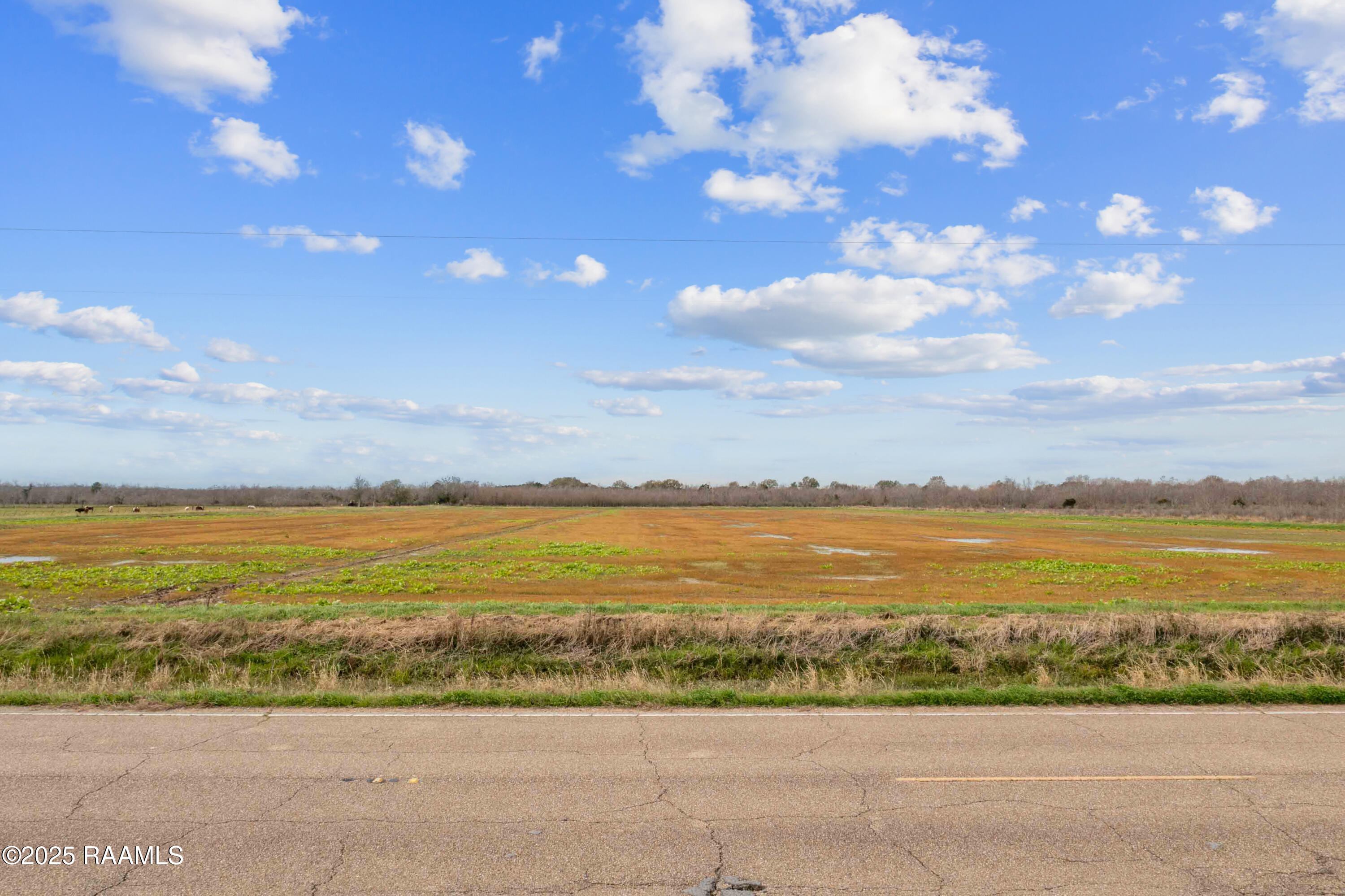 0 Mermentau Cove Road Morse, LA 70559 - Photo 12 of 12 TBDMermentauCove17