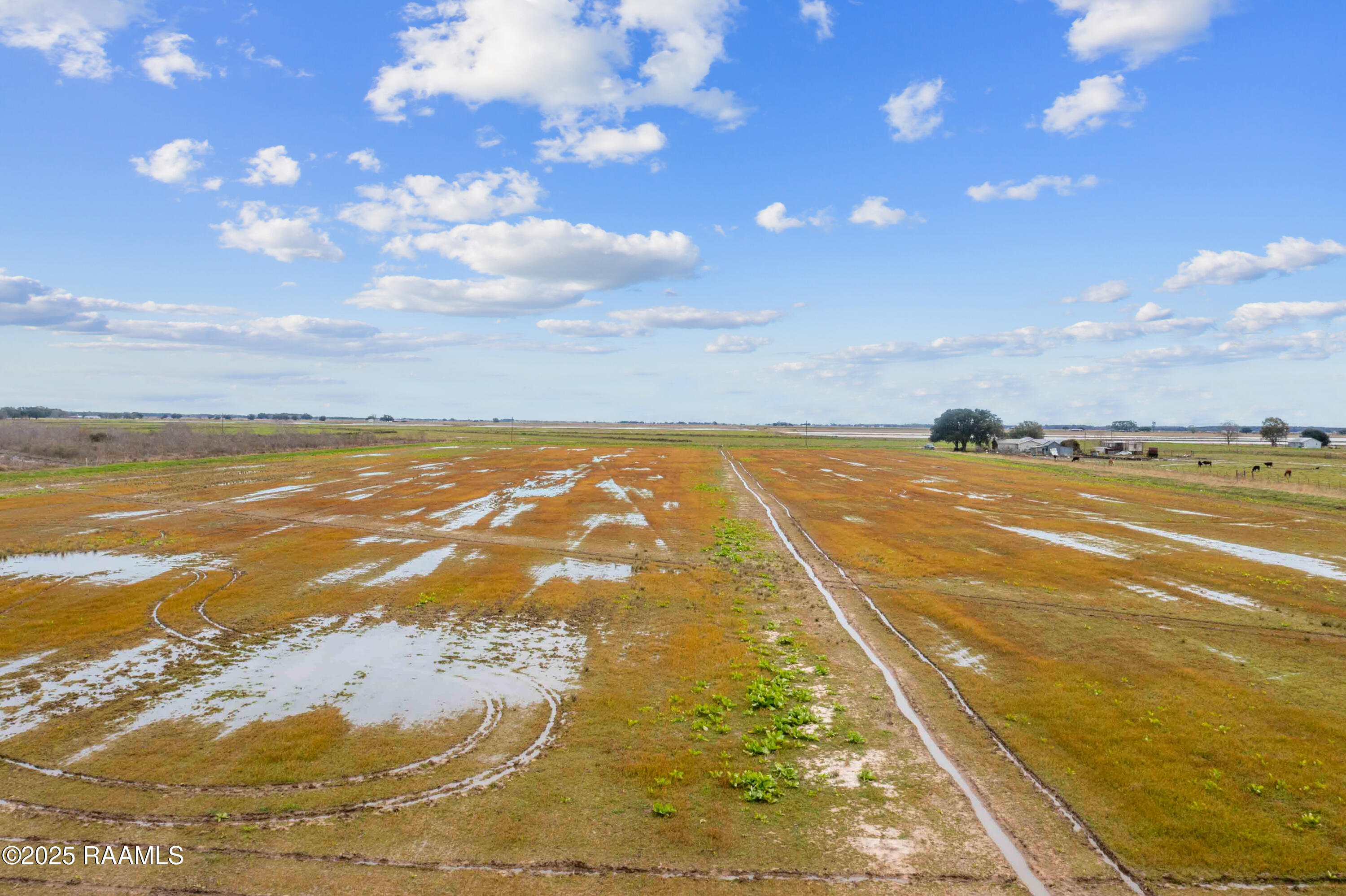 0 Mermentau Cove Road Morse, LA 70559 - Photo 9 of 12 TBDMermentauCove-14