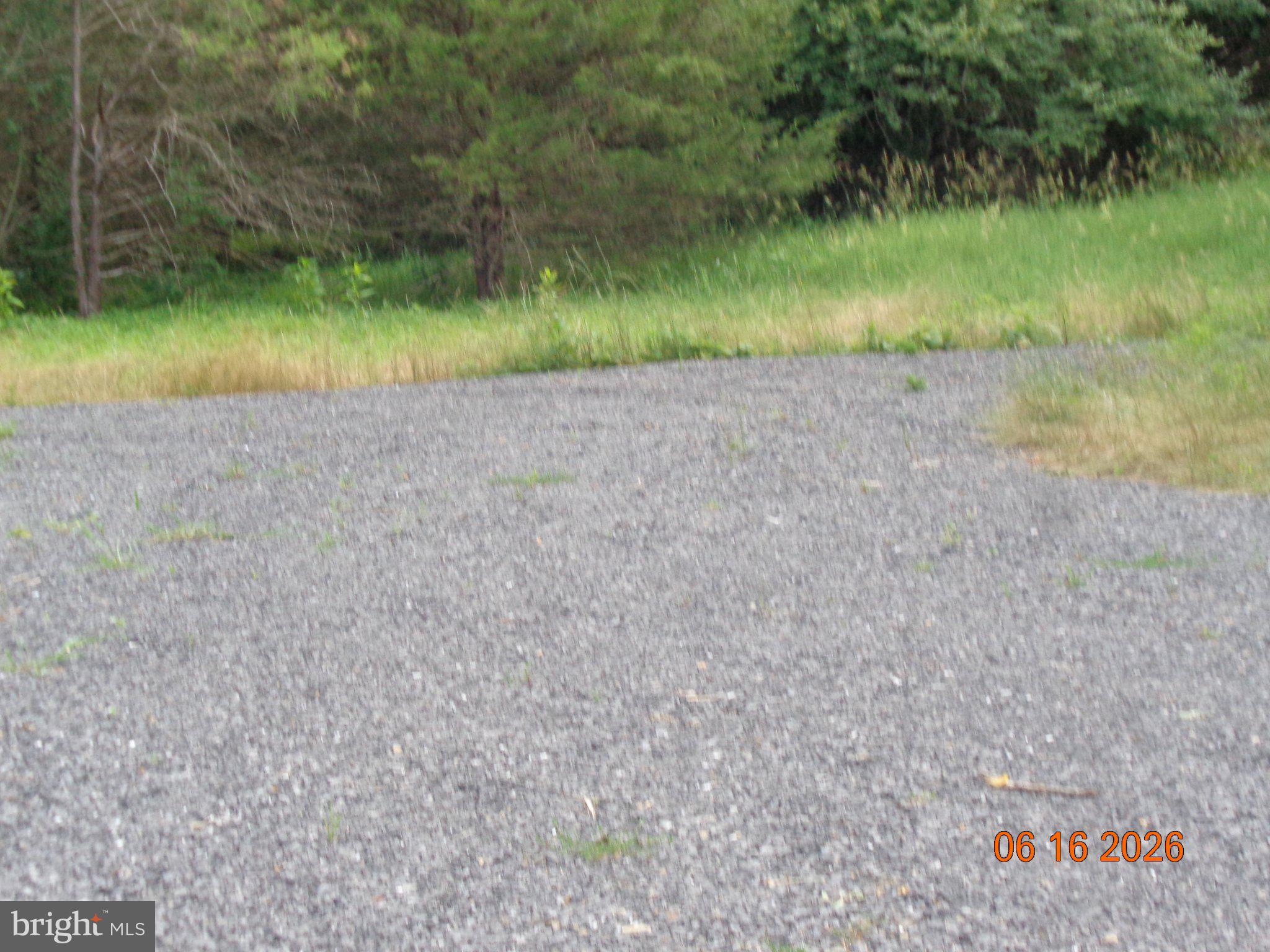 Gravel path leading to nature's edge.