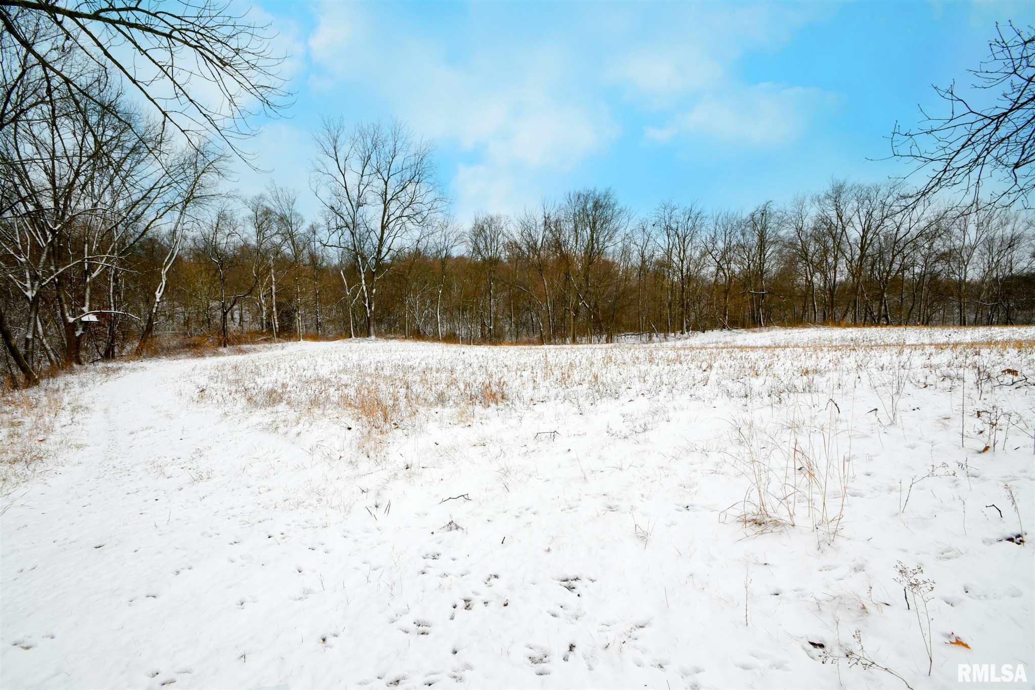8825 South Powell Road Mapleton, IL 61547 - Photo 40 of 47