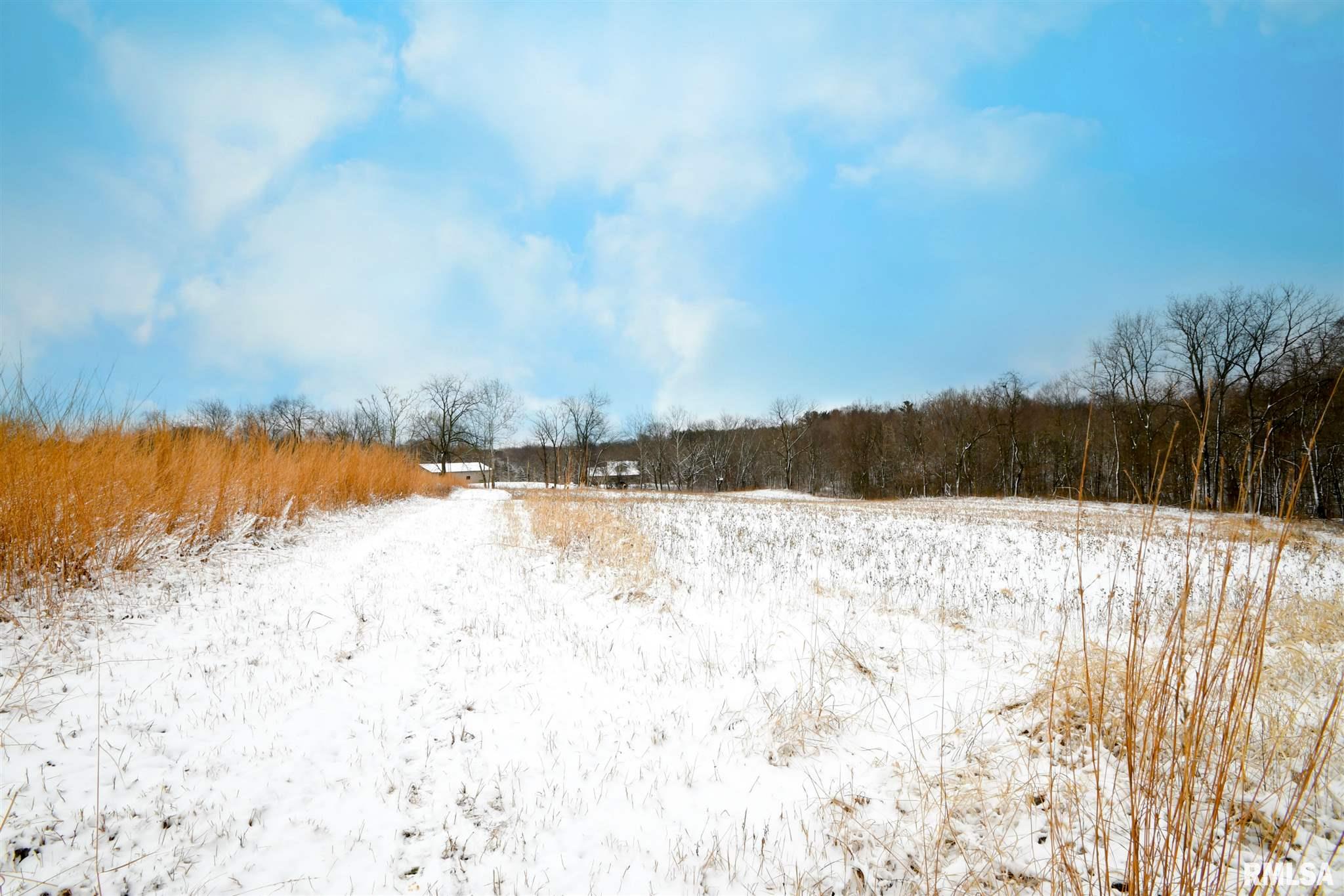 8825 South Powell Road Mapleton, IL 61547 - Photo 43 of 47
