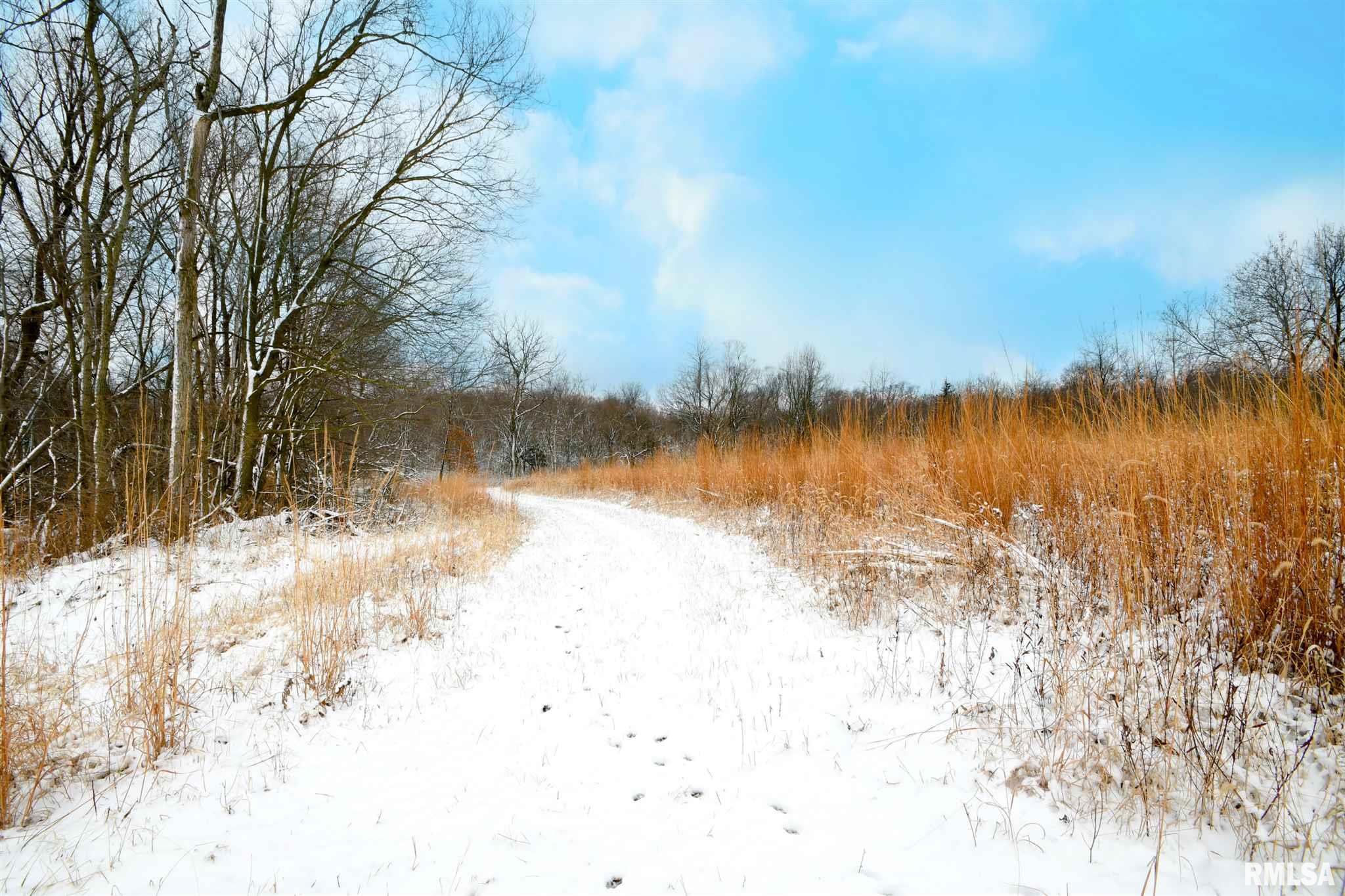 8825 South Powell Road Mapleton, IL 61547 - Photo 45 of 47