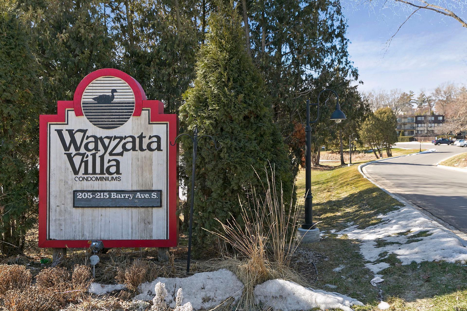 205 Barry Avenue South, Unit 313 Wayzata, MN 55391 - Photo 1 of 1