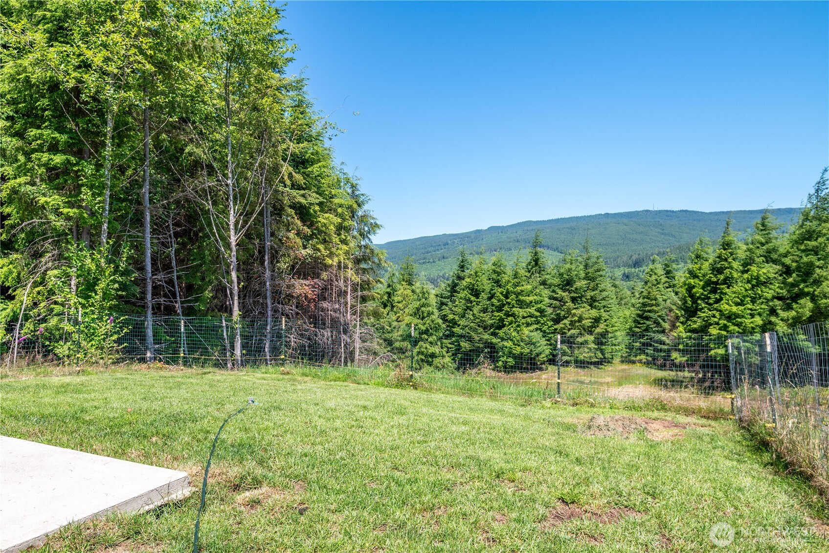 327 Parpala Road Naselle, WA 98638 - Photo 17 of 39 a view of green field with trees in the background