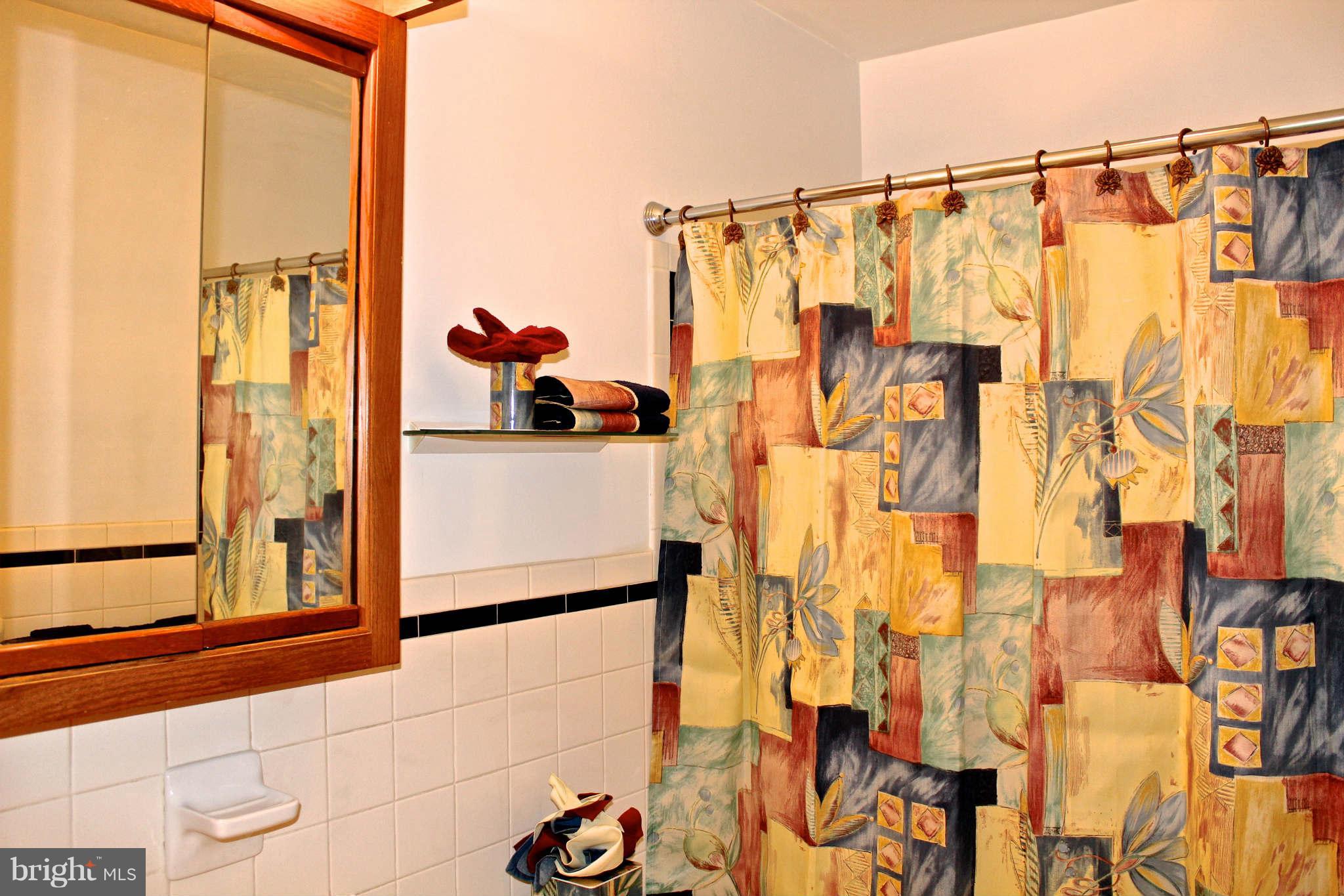 3697 Altondale Road Reisterstown, MD 21136 - Photo 17 of 21 a bathroom with a shower and a sink