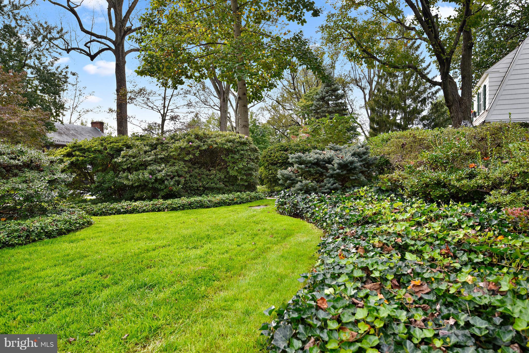 708 Stoneleigh Road Baltimore, MD 21212 - Photo 25 of 61 a view of a garden with a tree