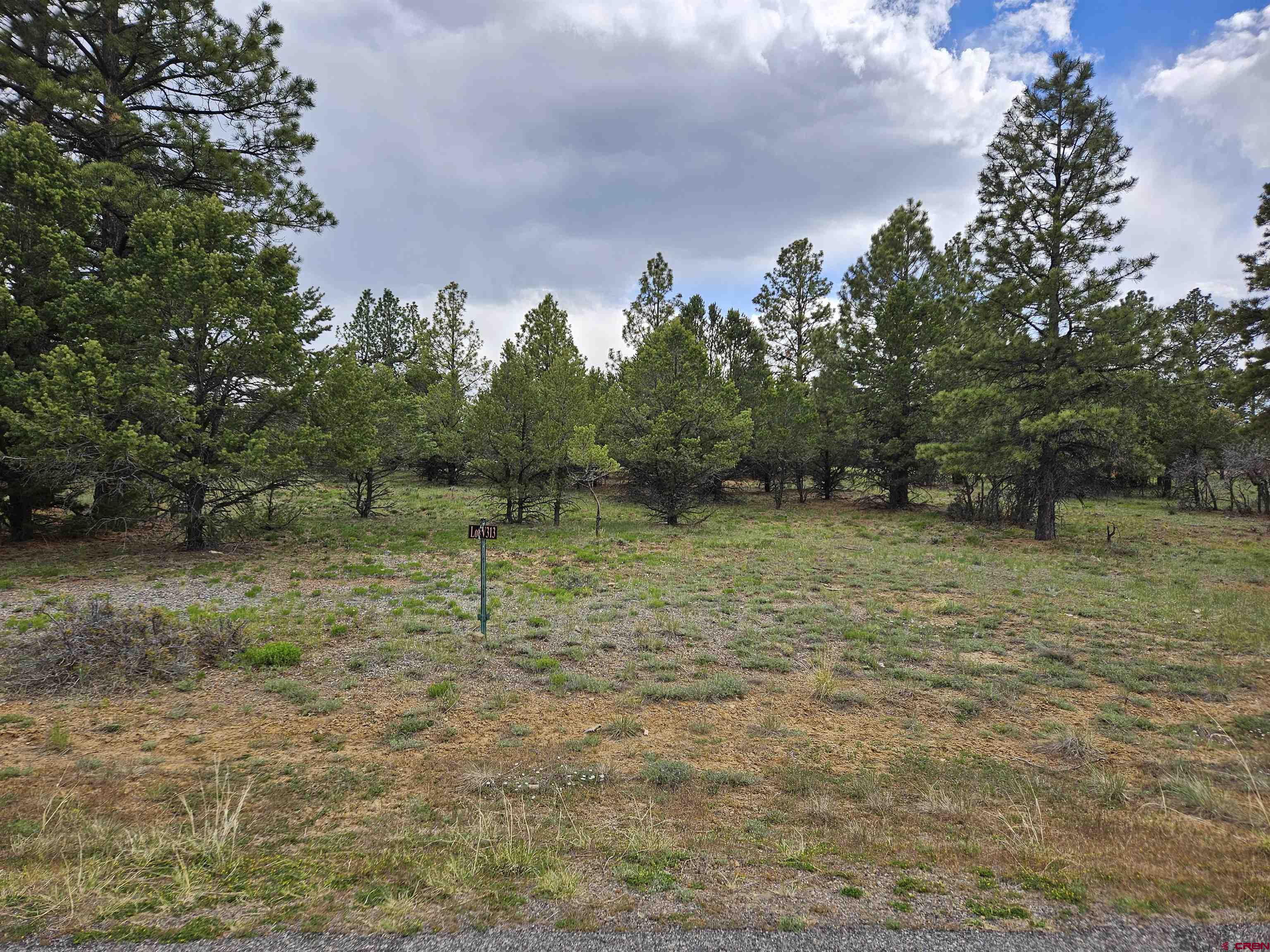 Tbd Marmot Drive Ridgway, CO 81432 - Photo 1 of 5