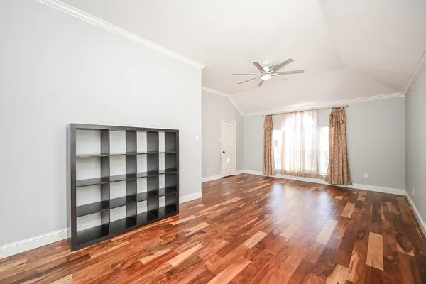 a view of a backyard with plants and large trees