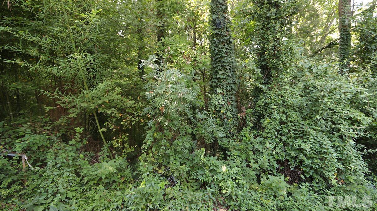 2130 Alpine Road Durham, NC 27707 - Photo 21 of 22 Gallery Image 21