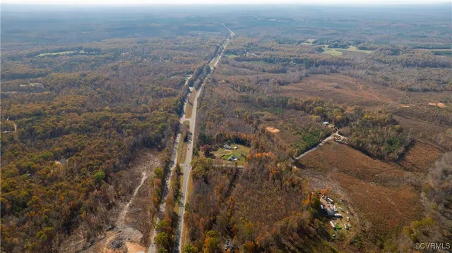 a view of a forest with trees