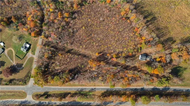 a close up of a plant